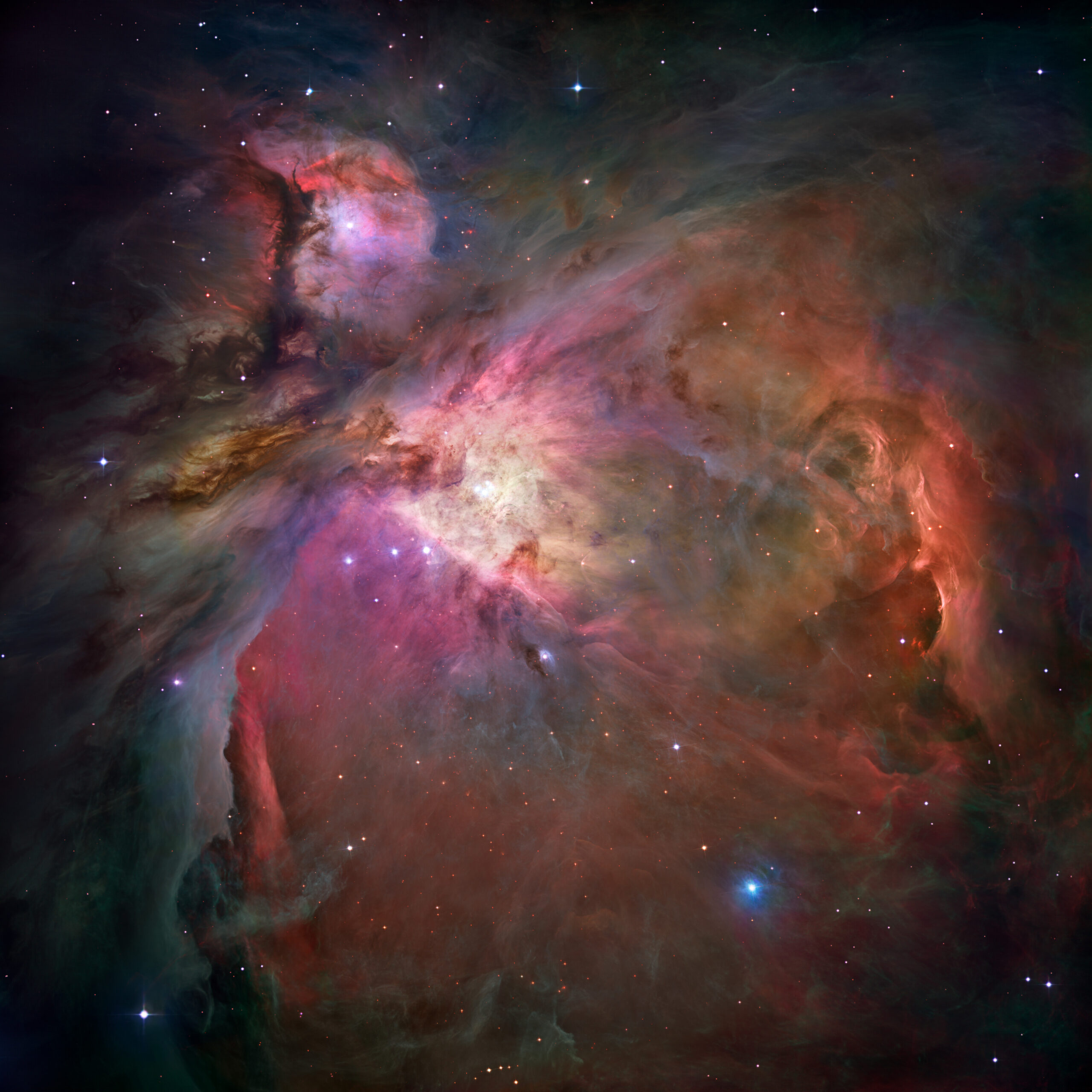 Late Bloomer: A Stellar Merger Could Explain the Orion Nebula Age Paradox