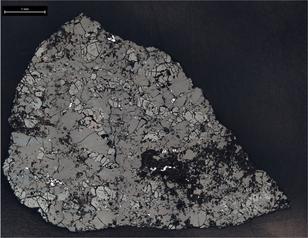 Microscope image of a polished slice of the Teghaza 001 Martian meteorite showing its mineral grains