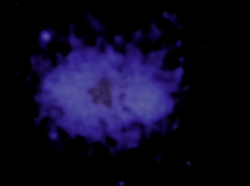 Radio Phoenix: How Colliding Clusters Revived a Cosmic Treble Clef